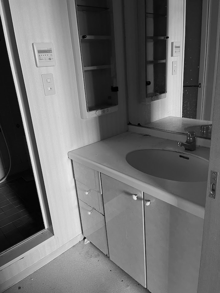 カスタムバニティで自由な洗面空間を　【フルリノベーション｜江戸川区｜マンション】　　　　　　　　　　　　　　　　　　　　　　　　　　